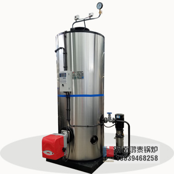 LHS Vertical fuel gas steam boiler